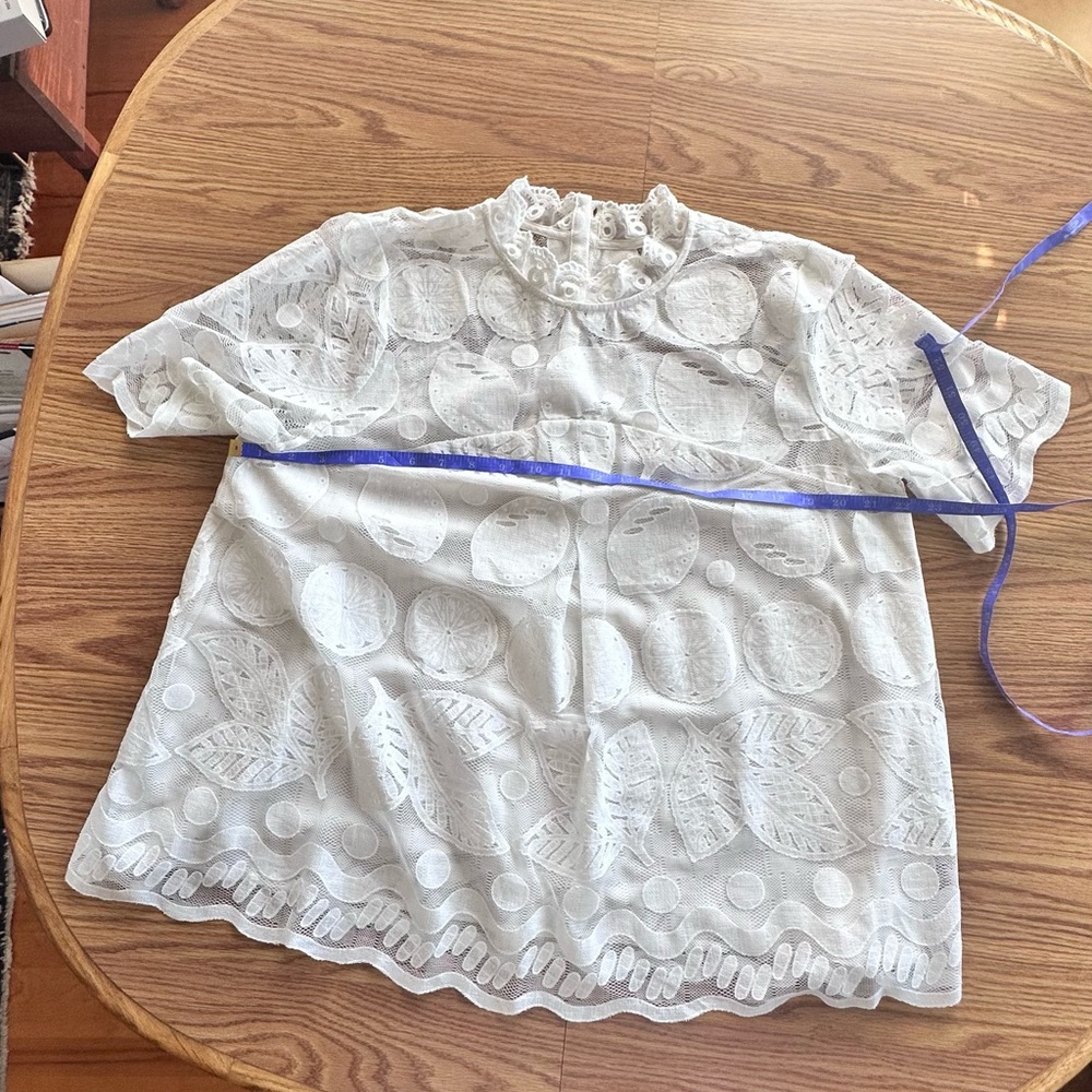 Anthropologie HD in Paris, Ivory Lace mesh short Sleeve Blouse, 16, 22” w